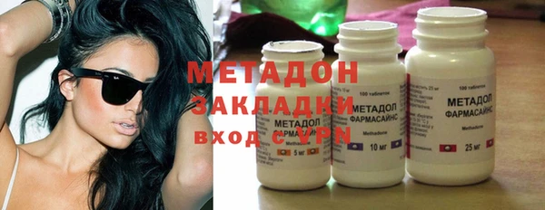 индика Алексин