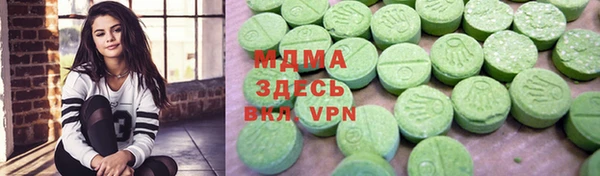 индика Алексин