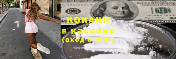 индика Алексин