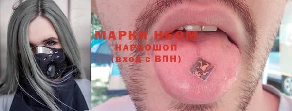 индика Алексин