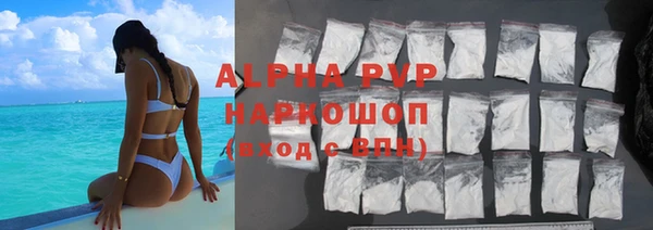 индика Алексин